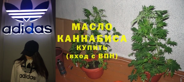 сатива Алзамай