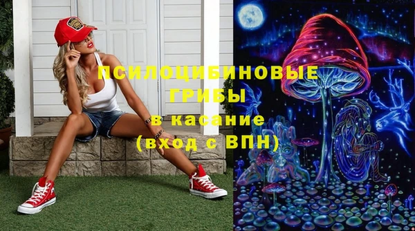 сатива Алзамай