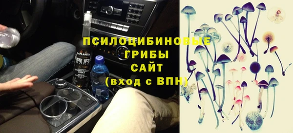 сатива Алзамай